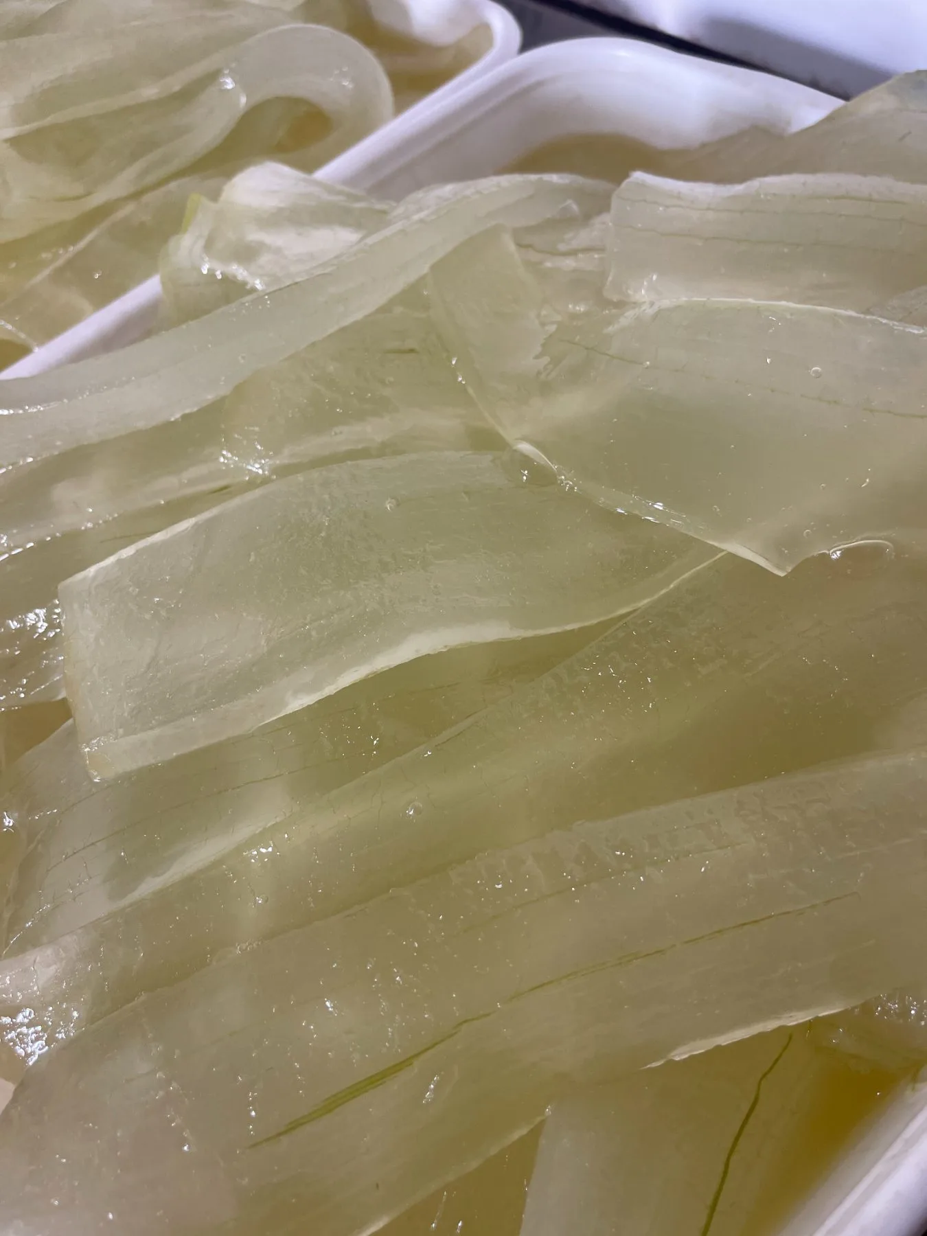 Lascas translúcidas do gel de Aloe Vera in natura — concentração de bioativos